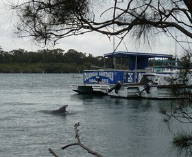 Dunbogan Boatshed - E Caravan Parks 2