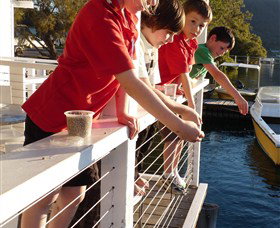 Dunbogan Boatshed - E Caravan Parks 3