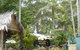 Diamond Waters Garden Nursery - thumb 0