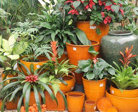 Diamond Waters Garden Nursery - E Caravan Parks 1