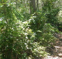 Bridle trail - E Caravan Parks