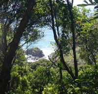 Rainforest walking track - E Caravan Parks