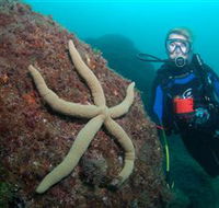 Cook Island Dive Site - E Caravan Parks
