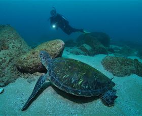Cook Island Dive Site - E Caravan Parks 2