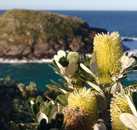 Green Island walking track - E Caravan Parks