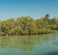 Tyagarah Nature Reserve - E Caravan Parks
