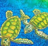 Sea Silks Gallery - E Caravan Parks