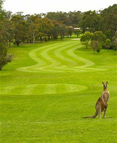 Pambula Merimbula Golf Club - E Caravan Parks 2