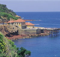 Merimbula Aquarium - E Caravan Parks