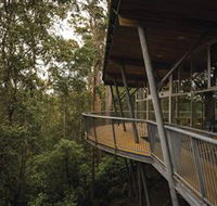 Tarkine Forest Adventures - Dismal Swamp - E Caravan Parks