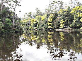Arthur River TAS E Caravan Parks