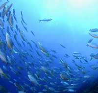 Cape Byron Marine Park - E Caravan Parks