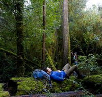 The Tarkine Drive - E Caravan Parks