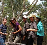 Echidna Walkabout Nature Tours