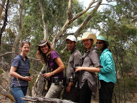 Echidna Walkabout Nature Tours - E Caravan Parks 3