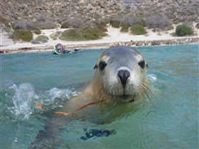 Calypso Star Charters - E Caravan Parks 0