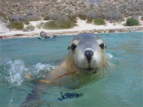 Calypso Star Charters - E Caravan Parks 1