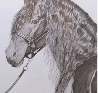 Great Lakes Art Society - E Caravan Parks