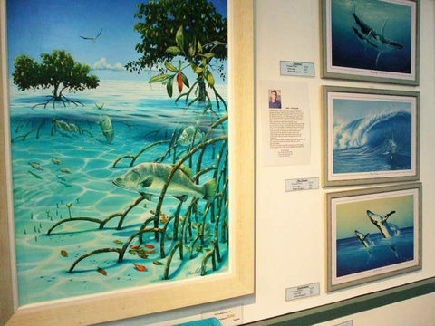 Creations @ The Harbour - E Caravan Parks 3