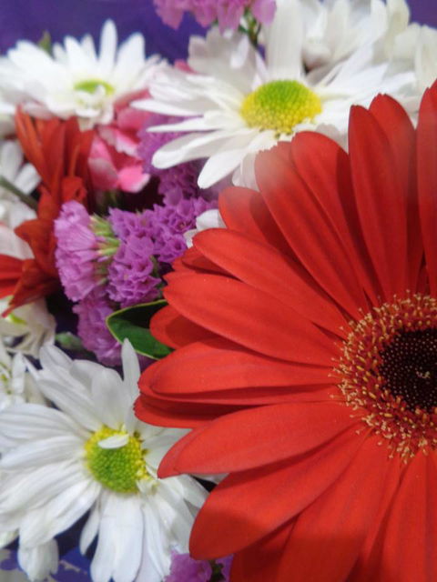 Marysworldart Bali Imports - E Caravan Parks 0