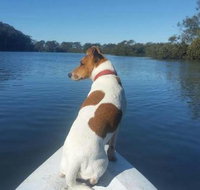 Australis Canoes  Kayaks - E Caravan Parks