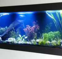 Aquariums in Cairns - E Caravan Parks