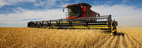 Quirindi Grain And Produce - E Caravan Parks 0