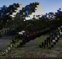 Stargazing Busselton with Mobile Observatory - E Caravan Parks
