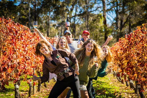 Margaret River Winery And Brewery Day Trip, Plus Gourmet Winery Lunch - E Caravan Parks 4