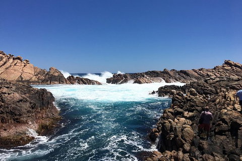 Private Margaret River And Busselton Day Trip From Perth - E Caravan Parks 1