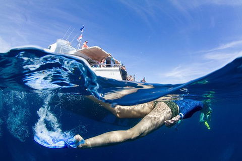 VIP Luxury Chartered Escapes, Exploring The Reef At Your Own Pace - E Caravan Parks 40