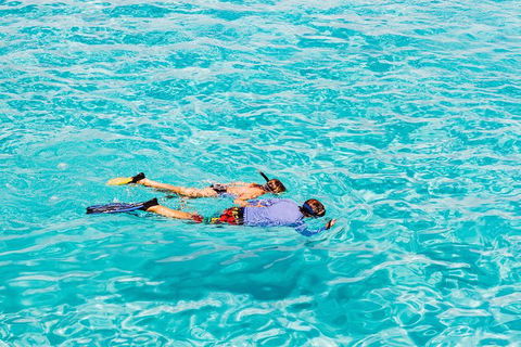VIP Luxury Chartered Escapes, Exploring The Reef At Your Own Pace - E Caravan Parks 29