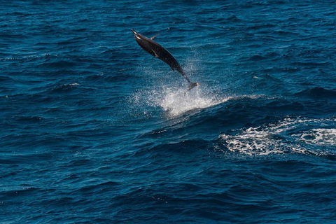VIP Luxury Chartered Escapes, Exploring The Reef At Your Own Pace - E Caravan Parks 42