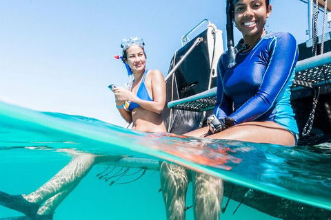 VIP Luxury Chartered Escapes, Exploring The Reef At Your Own Pace - E Caravan Parks 24