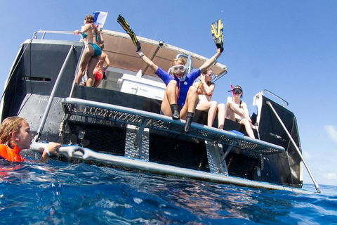 VIP Luxury Chartered Escapes, Exploring The Reef At Your Own Pace - E Caravan Parks 25