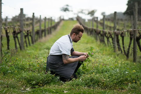Vasse Felix Epicurean Tour And Tasting Experience With 5 Course Lunch - E Caravan Parks 9