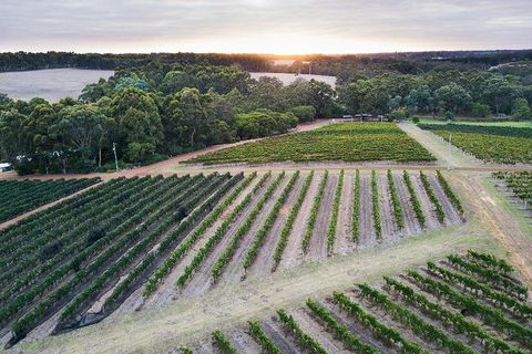 Vasse Felix Epicurean Tour And Tasting Experience With 5 Course Lunch - E Caravan Parks 7