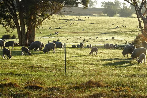 The Big Wave Rock (Private) Day Tour - E Caravan Parks 1