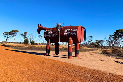 The Big Wave Rock (Private) Day Tour - E Caravan Parks 12