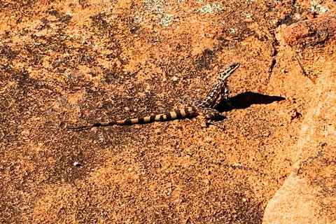 The Big Wave Rock (Private) Day Tour - E Caravan Parks 4