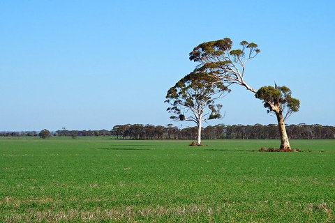 The Big Wave Rock (Private) Day Tour - E Caravan Parks 13