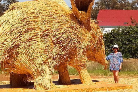The Big Wave Rock (Private) Day Tour - E Caravan Parks 16