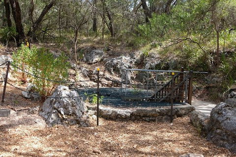 Ngilgi Cave Semi-guided Tour - E Caravan Parks 7