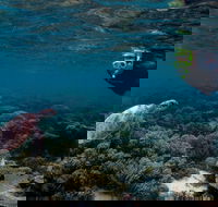 3 Night Ningaloo Reef Snorkel and Dive Getaway from Coral Bay - E Caravan Parks