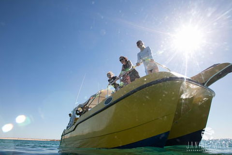 Turtle Tours On The Ningaloo Reef, Exmouth. 1/2 Day Cruise. - E Caravan Parks 7