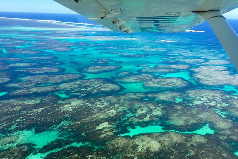 Kalbarri, Pink Lake And Abrolhos Islands Nature Tour - E Caravan Parks 5