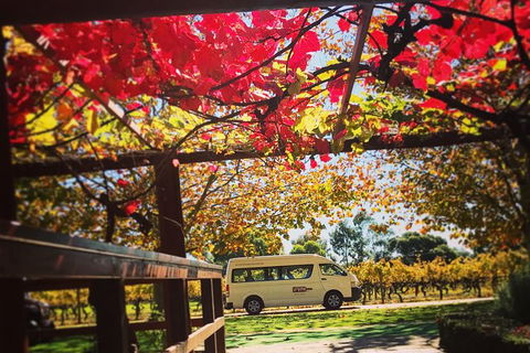 Ultimate Swan Valley Food And Wine Day Trip From Perth - E Caravan Parks 12