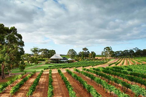 Vasse Felix Winery Tour And Tasting - E Caravan Parks 2