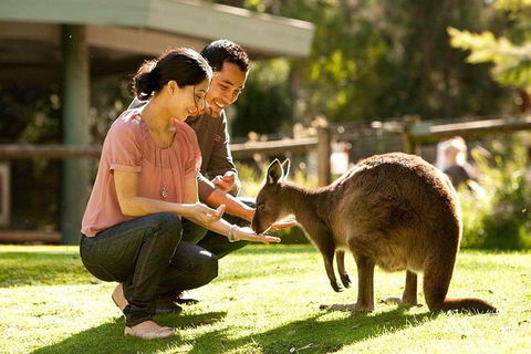 Very Best Of Perth Tour - Wildlife Park & City Highlights Tour - E Caravan Parks 0