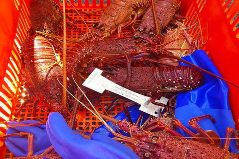 Rottnest Island Wild Seafood Package With Round Trip Ferry From Fremantle - E Caravan Parks 6